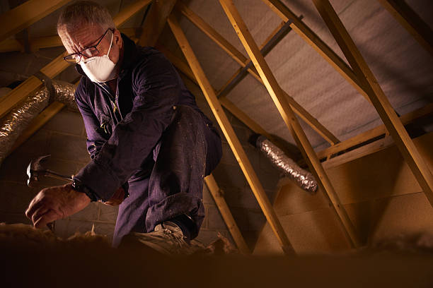 Best Specialized Insulation Services in Lamar, SC