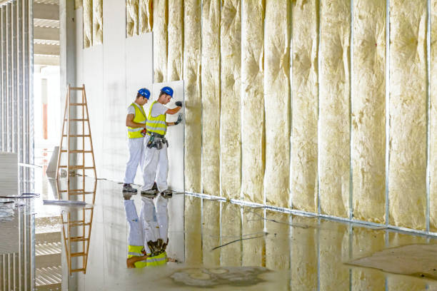 Best Spray Foam Insulation in Lamar, SC